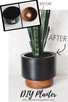 a potted plant is shown before and after it has been painted