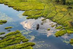 a man is wading in the water surrounded by green plants and grass with clouds