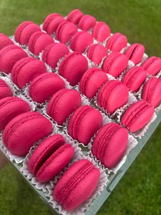 pink macaroons are arranged in a box on the green grass, ready to be eaten