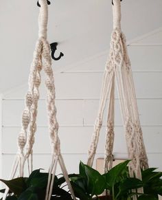 two macrame plant hangers with plants in them