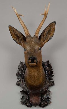 a deer head mounted on the wall