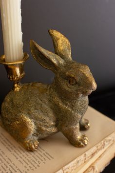 a golden rabbit figurine sitting on top of an open book next to a lit candle