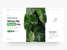 the landing page for an eco - friendly website with plants and leaves in green colors