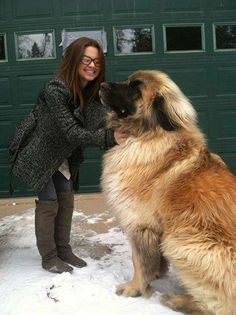 a woman standing next to a large dog in the snow