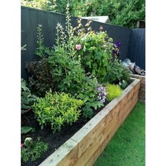 a garden filled with lots of plants next to a wooden fence in the middle of a yard