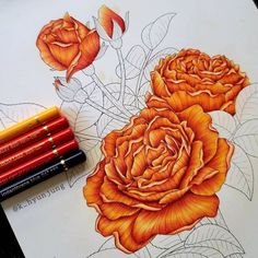 some pencils are laying on top of a drawing book with roses in the background