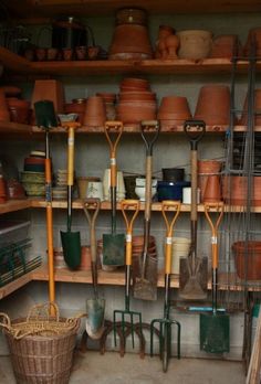 the shelves are filled with pots and gardening tools