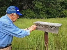 Retired--Now What?: Bluebird Nesting Box Addendum Bluebird Nest, Steel Fence Posts, Bird House Plans Free, Birdhouse Plans, Dad Crafts, Bluebird House, Bird Brain, Bird House Plans, Plants Art