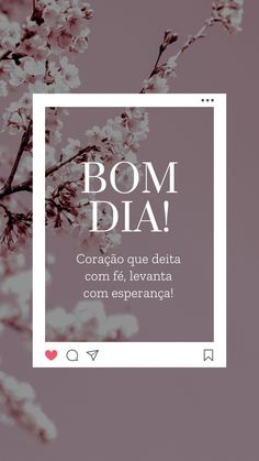 a pink background with white flowers and the words bomb diaa in spanish on it