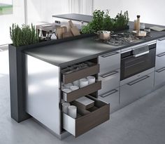 a kitchen with stainless steel appliances and plants on the counter