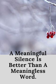 An inspirational quote advises us that meaningful silence is better than a meaningless word. Words scripted in black on a light background. Silence Is Better, Google Workspace, Google Account