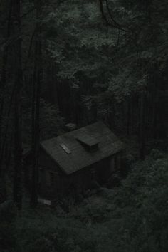 an old house in the middle of a forest with dark trees and leaves around it