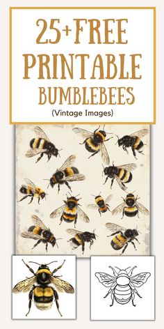 the 25 free printable bumbees for kids