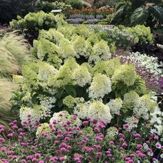 many different types of flowers and plants in a garden with lots of green, white and pink