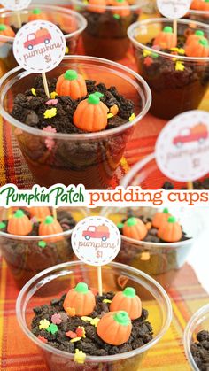 pumpkin patch pudding cups with little cupcakes in them