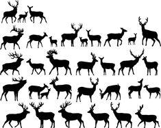 silhouettes of deer and elk in various poses