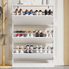 there are many pairs of shoes on the shelves