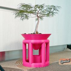 a small bonsai tree in a pink pot