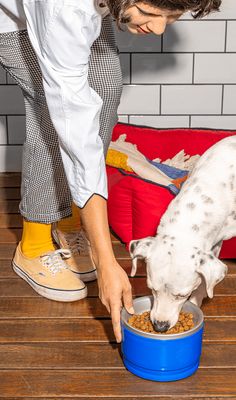 a woman feeding her dog food out of a blue bowl on top of a wooden floor