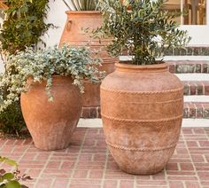 two large vases with plants in them sitting on the ground next to some steps