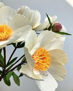 three white and yellow flowers in a vase