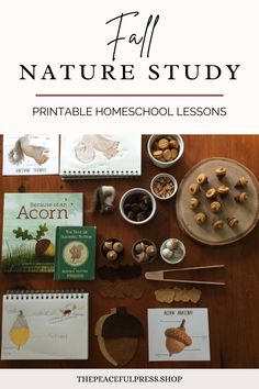 an image of nature study materials for homeschool lessons