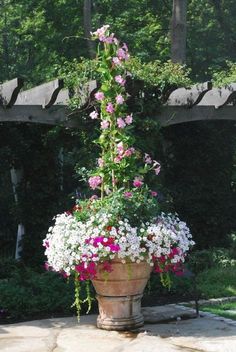 a potted plant with pink and white flowers in it sitting on a stone patio