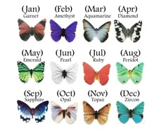 butterflies with the names of each species in their respective language, and an image of different colors