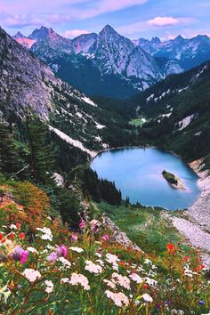 a lake surrounded by mountains and wildflowers