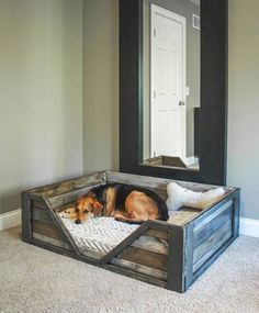 a dog bed with two dogs laying in it and the bottom half is open to show its