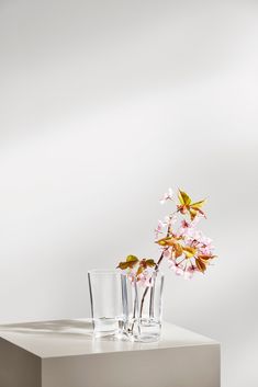 two vases with flowers in them sitting on a white countertop next to each other