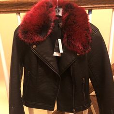 Topshop Jacket With Detachable Red Faux Fur. Size 4. Never Worn, Tags Still Attached. Retails For $100 Red Winter Outerwear With Zipper Closure, Red Winter Outerwear With Zipper, Trendy Faux Fur Leather Jacket For Fall, Faux Fur Leather Jacket For Fall, Edgy Red Biker Jacket For Winter, Faux Fur Fitted Outerwear With Padded Collar, Burgundy Leather Jacket With Zipper For Winter, Faux Fur Lined Biker Jacket For Fall, Fitted Faux Fur Outerwear With Padded Collar