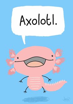 an axolot with a speech bubble above it