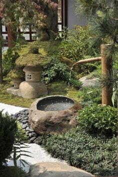 an outdoor garden with rocks and plants