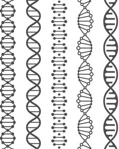 a set of black and white lines that look like double - strands or spirals