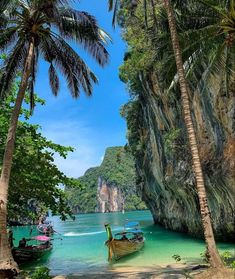 there are many boats in the water near some palm trees and rocks on the beach