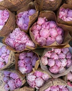 bunches of pink flowers are wrapped in brown paper