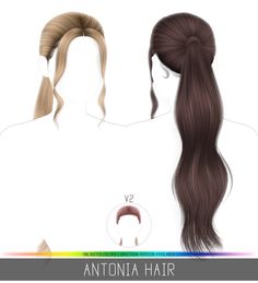 an image of two ponytails with long hair