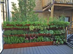 a wooden planter filled with lots of different types of plants on top of a deck