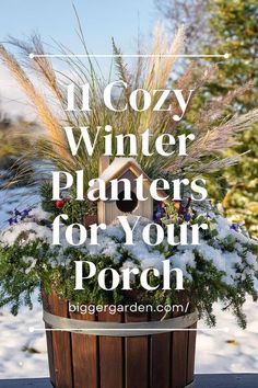 a wooden bucket filled with plants and snow