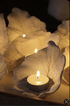 some white candles are lit in the shape of leaves