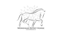 a horse that is standing in front of a white background with the words, meridian sport horse