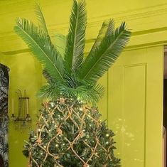 a potted plant sitting on top of a table next to a yellow wall and door