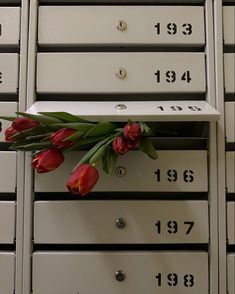 red tulips are placed in front of mail boxes with numbers and date marks