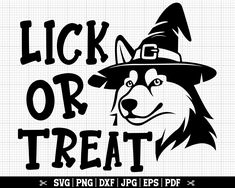 a dog wearing a witches hat with the words lick or treat in black and white