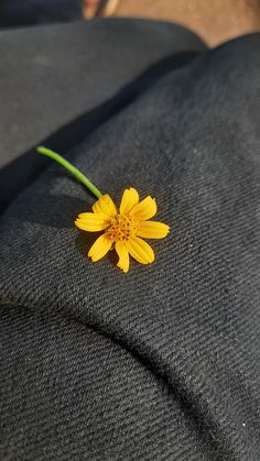 a single yellow flower sitting on top of a suit