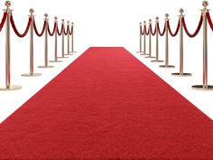 a red carpet is lined up with stance barriers and roped off poles to the side