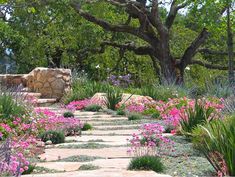 a stone path surrounded by flowers and trees