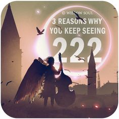 a woman with an angel wings standing in front of a cityscape that reads, 3 reason why you're seeing 222 willow soul needs