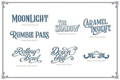 some type of lettering that is in different styles and colors, with the words moonlight on